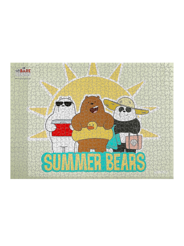 WBB 1000 Pieces Puzzle(Beach Tour)
